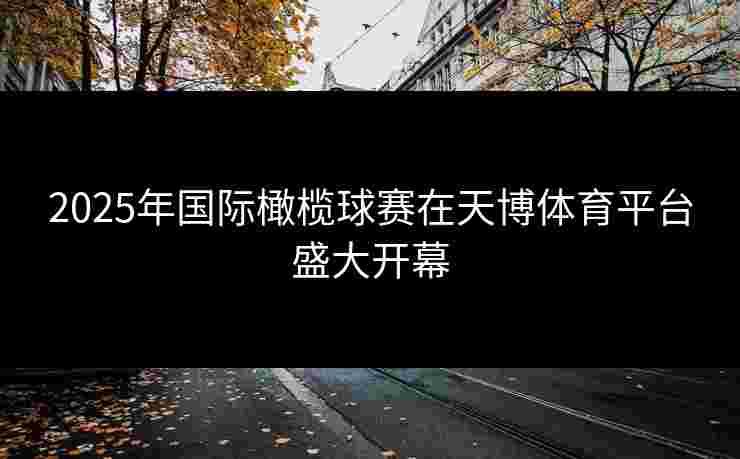 2025年国际橄榄球赛在天博体育平台盛大开幕